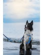 Adjustable dog leash Sea dog ver2