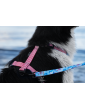 Adjustable dog leash Sea dog ver2