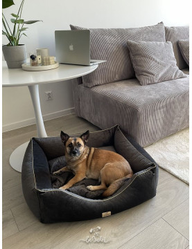 Moe dog bed VELVET GRAY