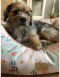 Moe dog bed COUNTRYSIDE