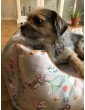 Moe dog bed COUNTRYSIDE