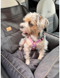 "Ero Soft" dog car seat VELVET water repellent BLACK size S/M/L WITH SEAT BELT