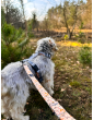 Adjustable dog leash Flower HAUer