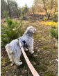 Dog leash Flower HAUer