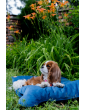 Costa roll-up dog travel bed  VELVET NAVY BLUE