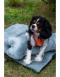 Costa roll-up dog travel bed  VELVET MINT