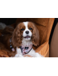 "Ero Soft" dog car seat VELVET water repellent COGNAC size S/M/L WITH SEAT BELT