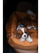"Ero Soft" dog car seat VELVET water repellent COGNAC size S/M/L WITH SEAT BELT