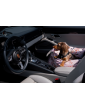 "Ero Soft" Flower HAUer Dog Car Seat size S/M/L