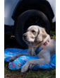 Costa roll-up travel bed SEA DOG