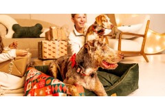 Jaki prezent dla psa na święta? Najlepsze pomysły dla psa i psiarza