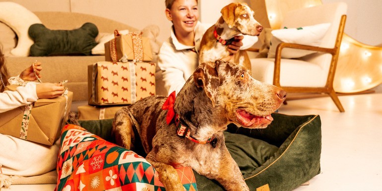 Jaki prezent dla psa na święta? Najlepsze pomysły dla psa i psiarza