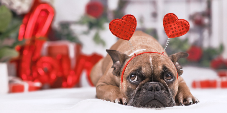 Co łączy zakochanych i psiarzy? Te same drobne gesty, które budują relację