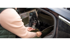 Fotelik samochodowy dla psa czy mata? Co wybrać, żeby bezpiecznie przewozić psa w samochodzie