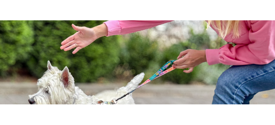 Nose Work Leash