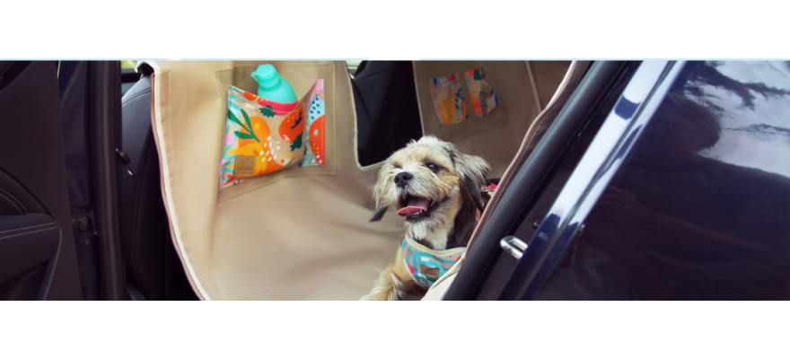 All back seat