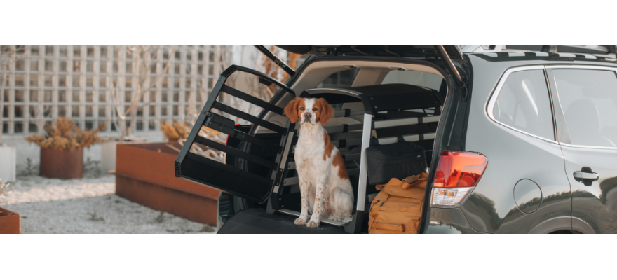 Dog Crate for Car Trunk