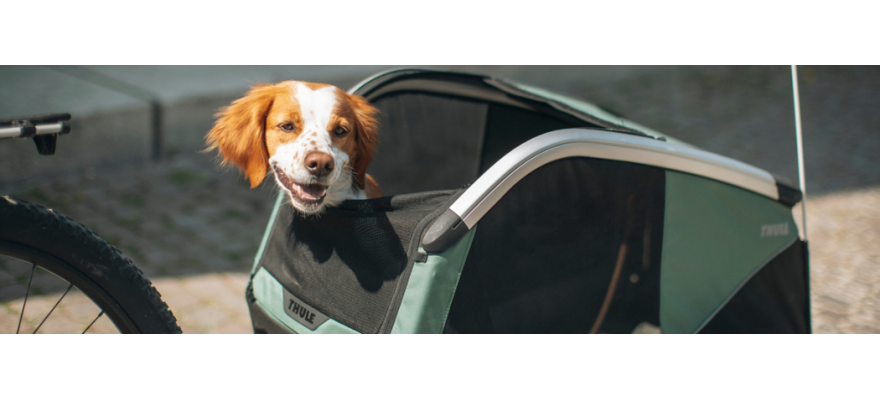 Dog Bike Trailer