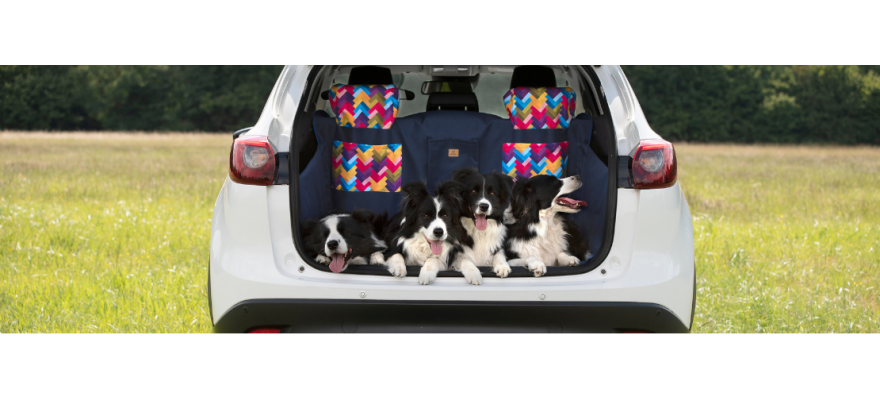 Trunk cover