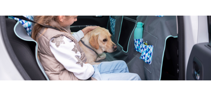 Kids and dogs