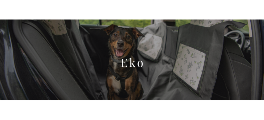 ECO collection