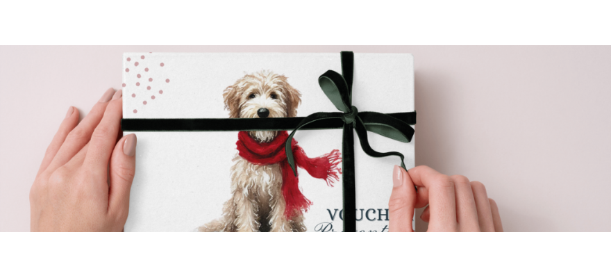 Voucher