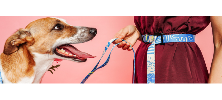 Dog leash with hip belt