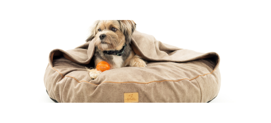 Round cushion for a dog with a blanket
