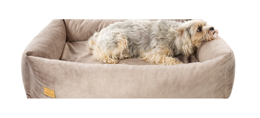Orthopedic bed for a dog