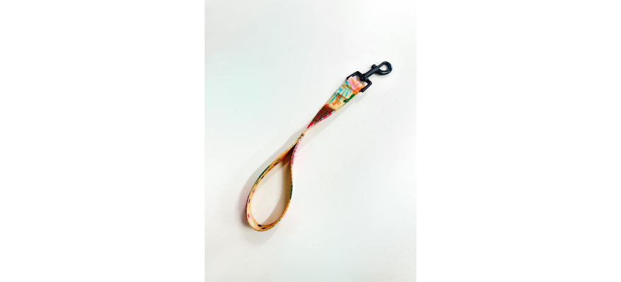Nose Work Dog Leash