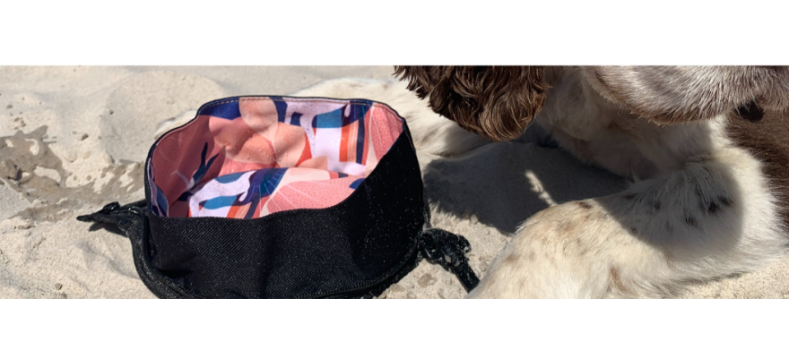 Travel dog bowls
